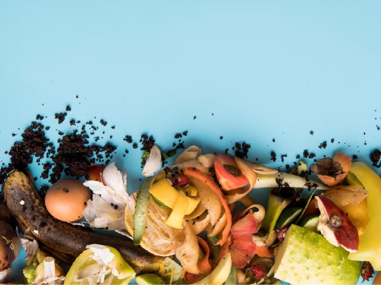 Alles andere als ein 08/15 Projekt - So steuern wir die Biogasproduktion aus der Cloud!