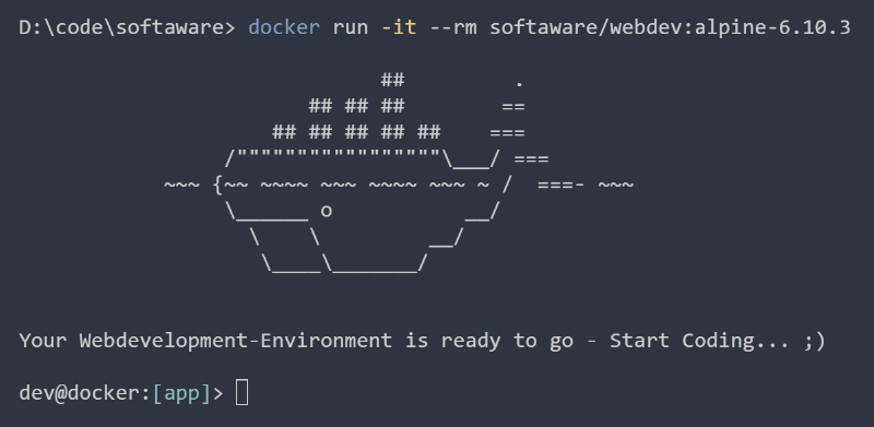 Consistent npm Development Environments using Docker